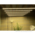 LED wachsen leichte faltbare Vollspektrum -Pflanzenlicht